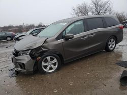 Salvage cars for sale at Baltimore, MD auction: 2019 Honda Odyssey EXL