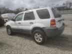 2007 Ford Escape XLT