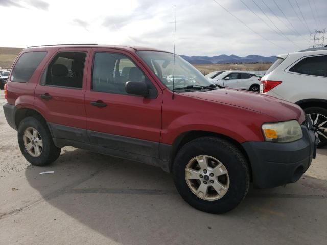 2005 Ford Escape XLT