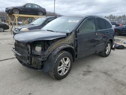 Salvage cars for sale at Windsor, NJ auction: 2010 Honda CR-V EX