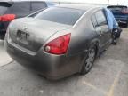 2004 Nissan Maxima SE