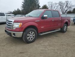 Ford salvage cars for sale: 2014 Ford F150 Supercrew