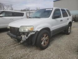 Salvage cars for sale at Spartanburg, SC auction: 2007 Ford Escape XLT