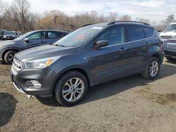 Clean Title Cars for sale at auction: 2018 Ford Escape SE