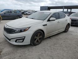 Salvage cars for sale at West Palm Beach, FL auction: 2015 KIA Optima LX