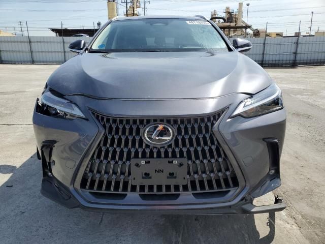 2024 Lexus NX 350 Base