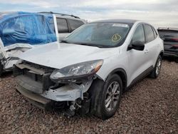 Salvage cars for sale at Phoenix, AZ auction: 2022 Ford Escape SE