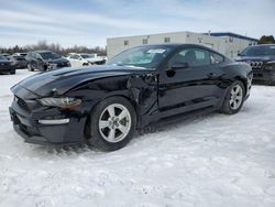 Salvage cars for sale at Cookstown, ON auction: 2019 Ford Mustang