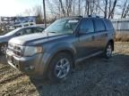 2009 Ford Escape Limited