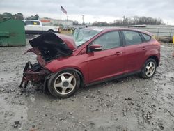 Salvage cars for sale at Montgomery, AL auction: 2013 Ford Focus SE