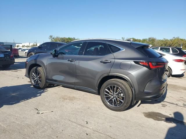 2024 Lexus NX 250 Base