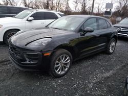 Salvage cars for sale at Marlboro, NY auction: 2023 Porsche Macan Base