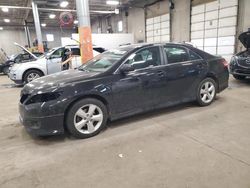 Salvage cars for sale at Blaine, MN auction: 2010 Toyota Camry Base