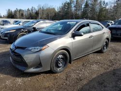 2019 Toyota Corolla L en venta en Cookstown, ON