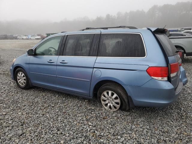 2008 Honda Odyssey EXL