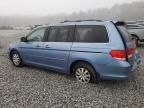 2008 Honda Odyssey EXL