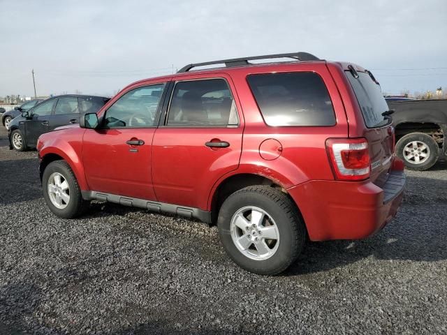 2012 Ford Escape XLT