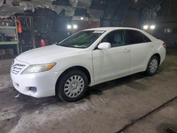 Salvage cars for sale at Albany, NY auction: 2010 Toyota Camry Base