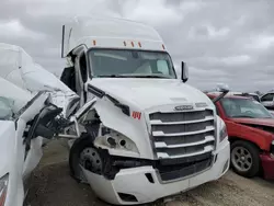 Freightliner Cascadia 126 Vehiculos salvage en venta: 2019 Freightliner Cascadia 126