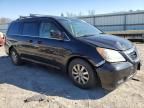 2008 Honda Odyssey EXL