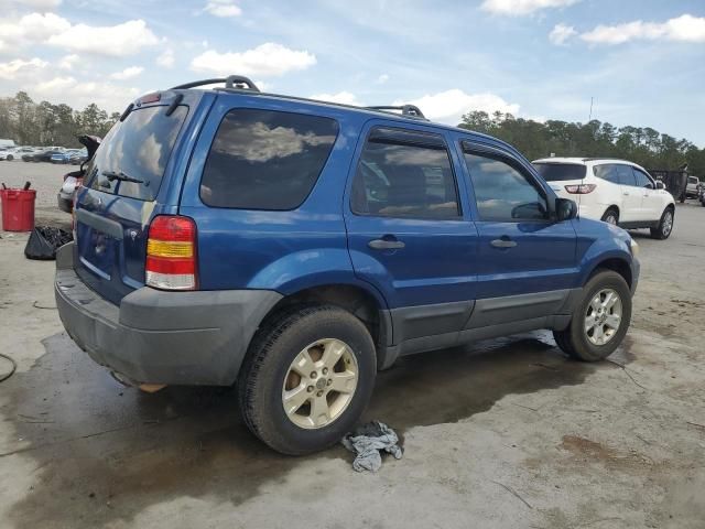 2007 Ford Escape XLT