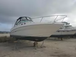 Sea Ray salvage cars for sale: 2004 Sea Ray Boat