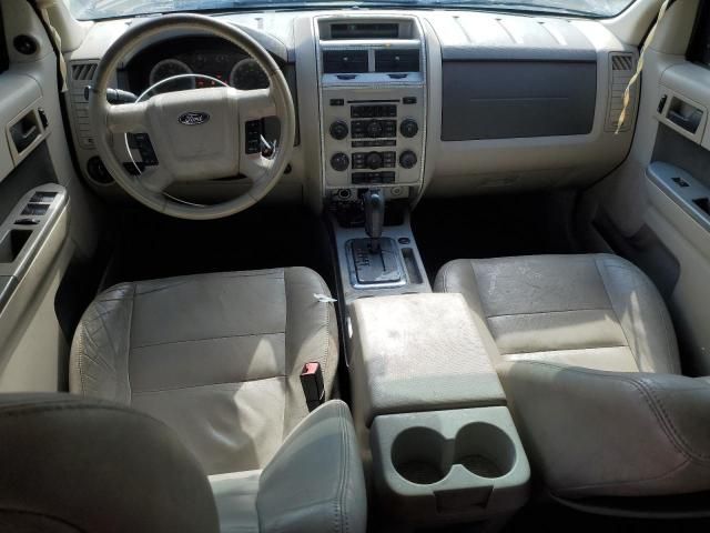 2009 Ford Escape XLT