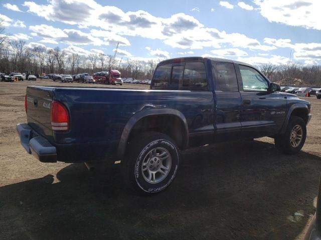 2002 Dodge Dakota Base