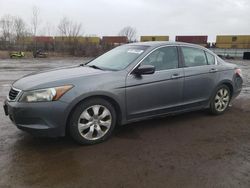 Salvage cars for sale at Columbia Station, OH auction: 2009 Honda Accord EX