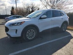 Ford salvage cars for sale: 2020 Ford Escape SE