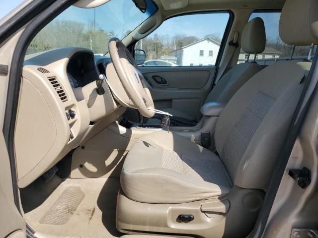 2007 Ford Escape XLT