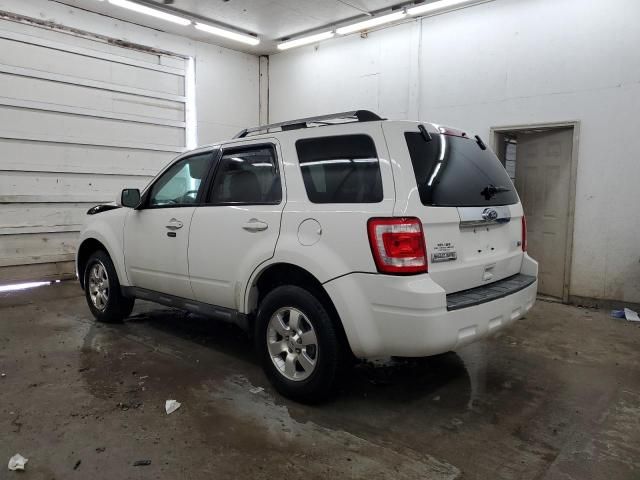 2010 Ford Escape Limited