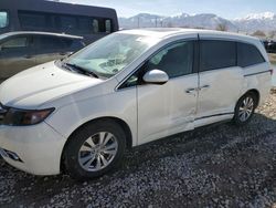 Salvage cars for sale at Magna, UT auction: 2014 Honda Odyssey EXL