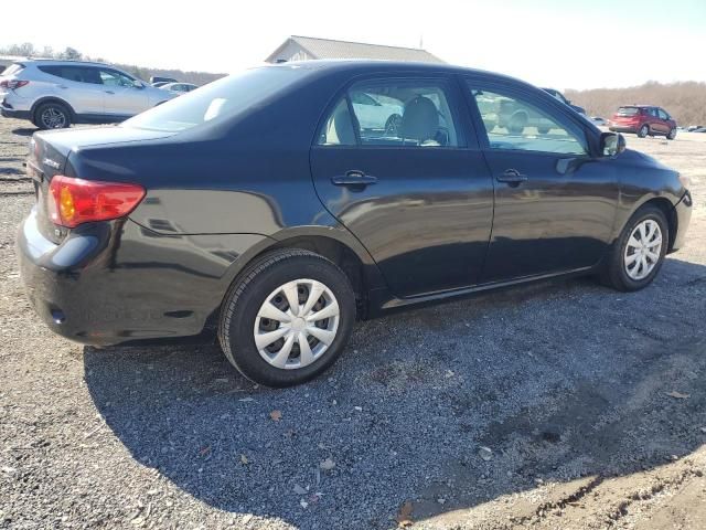 2010 Toyota Corolla Base