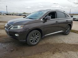 Salvage cars for sale at Tucson, AZ auction: 2013 Lexus RX 350