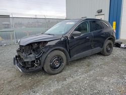 Salvage cars for sale at Elmsdale, NS auction: 2022 Ford Escape SE