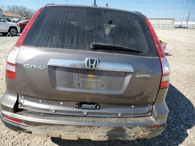 2010 Honda CR-V EXL