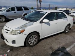 Salvage cars for sale at Van Nuys, CA auction: 2011 Toyota Corolla Base