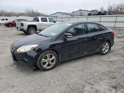 Ford salvage cars for sale: 2014 Ford Focus SE