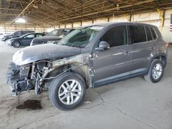 Salvage cars for sale at Phoenix, AZ auction: 2011 Volkswagen Tiguan S