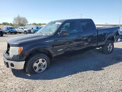 2014 Ford F150 Supercrew en venta en Riverview, FL