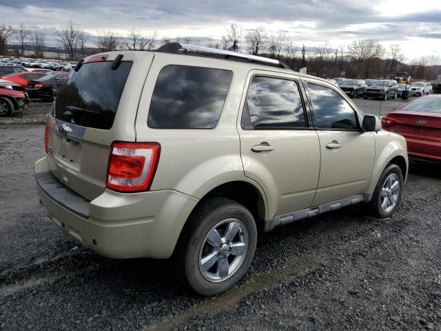 2011 Ford Escape Limited