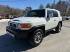 2013 Toyota FJ Cruiser