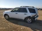 2009 Ford Escape XLS