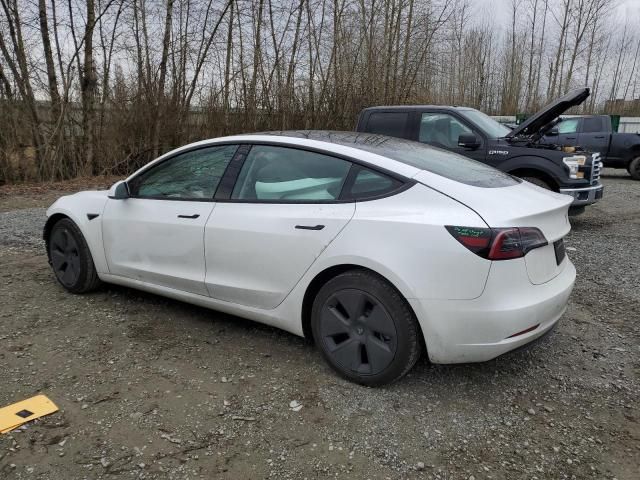 2023 Tesla Model 3