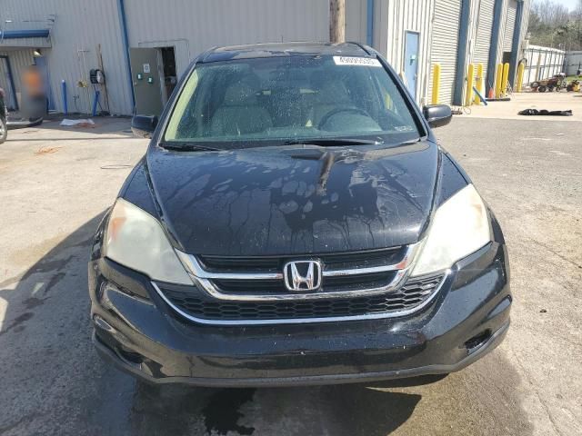 2010 Honda CR-V EXL