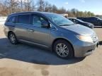 2013 Honda Odyssey EXL