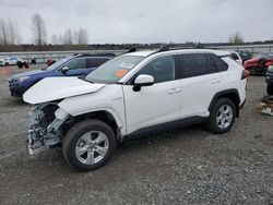 Salvage cars for sale at Arlington, WA auction: 2020 Toyota Rav4 XLE