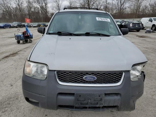 2002 Ford Escape XLT