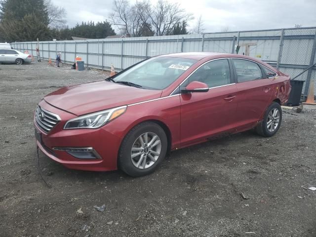 2016 Hyundai Sonata ECO